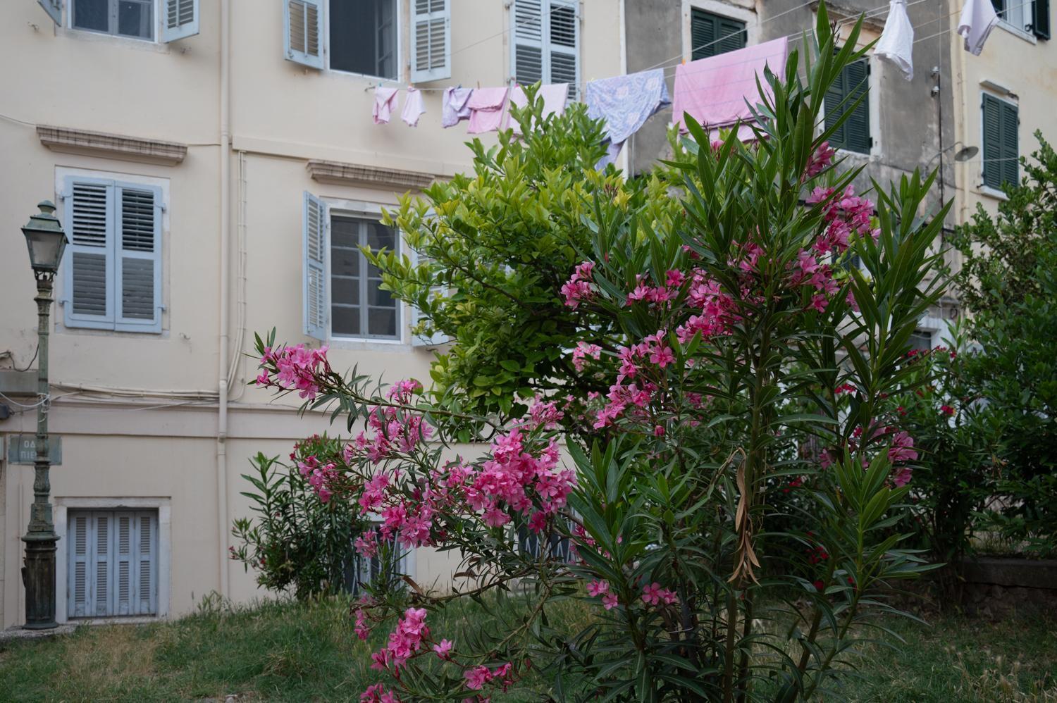 Holiday home Iliokambida House Corfu (city)
