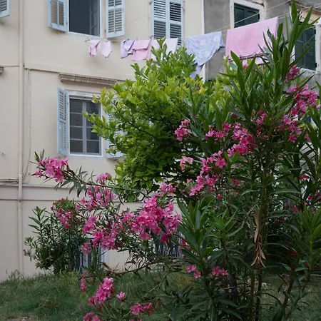 Iliokambida House Villa Corfu  Exterior photo
